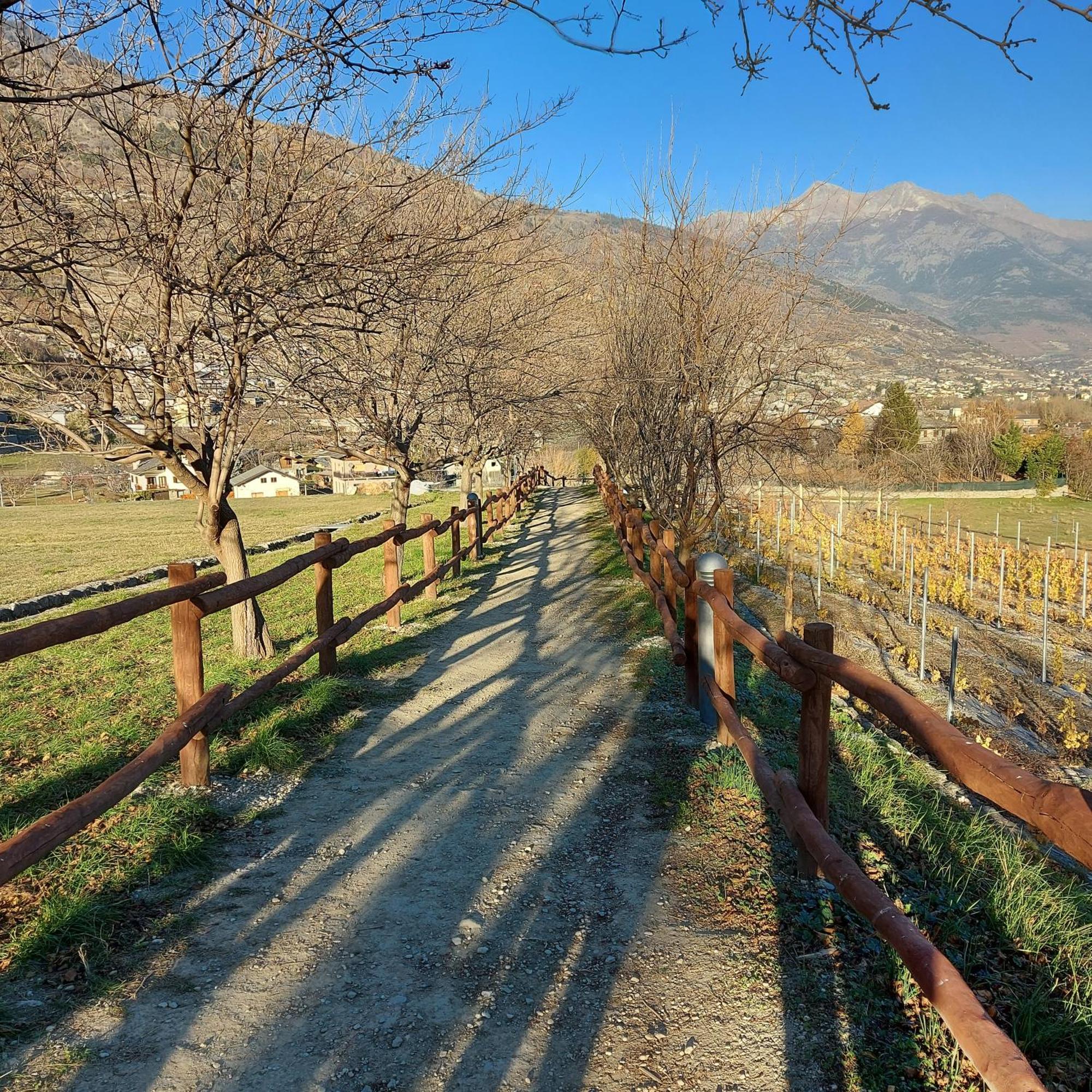 La Taverna Alloggio Ad Uso Turistico - Vda -Sarre - Cir- 0073 Aosta Exteriör bild